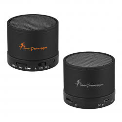 SPK-4105 Bluetooth Speaker